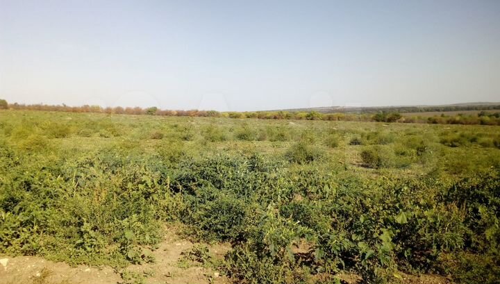 Участок 1,9 га (СНТ, ДНП)