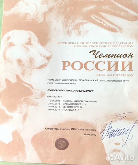 Открыт для вязок
