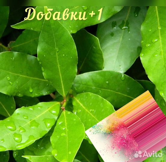 Лавровый лист