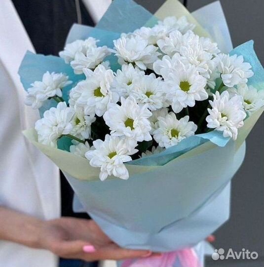 Хризантема Букет хризантем Доставка