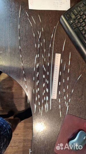 Иглы дикобраза