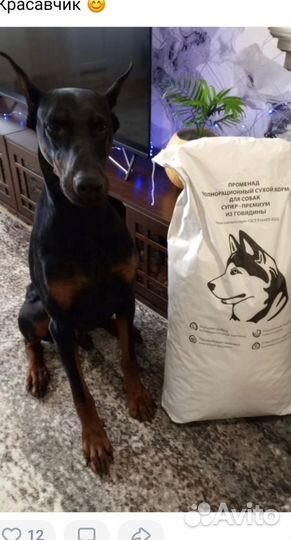 Корм Променад супер-премиум класса для собак