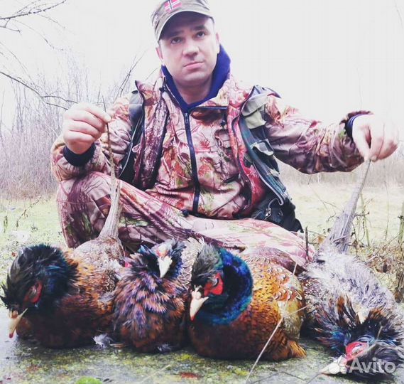 Манок на фазана