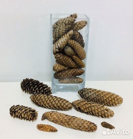 Шишки для поделок и оформления интерьеров. Обмен