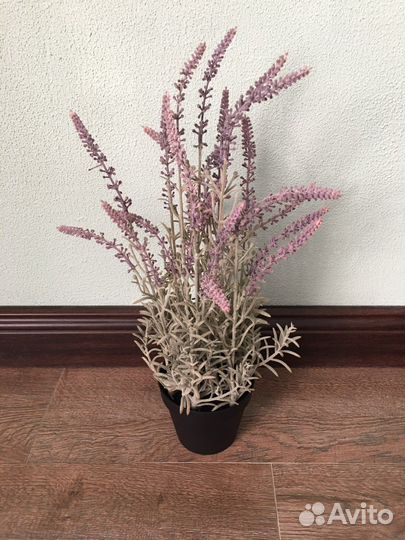 Фейк Лаванда IKEA