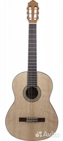 Гитары в аренду с доставкой