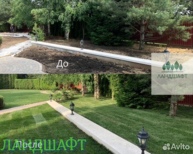 Люкс рулонный газон под ключ доставка Королев