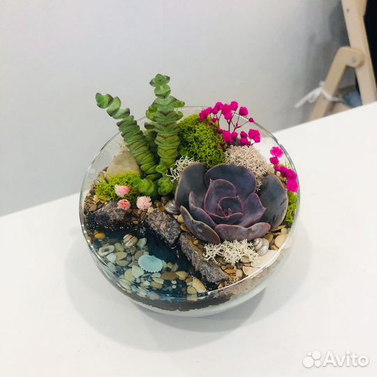 Флорариум с суккулентами