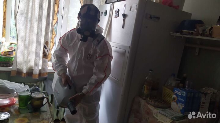 Травля тараканов клопов