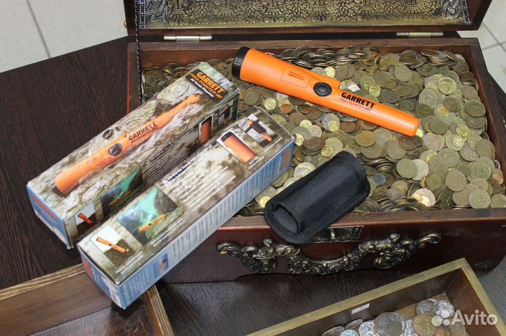 Пинпоинтер garrett PRO-pointer AT морковь в Твери