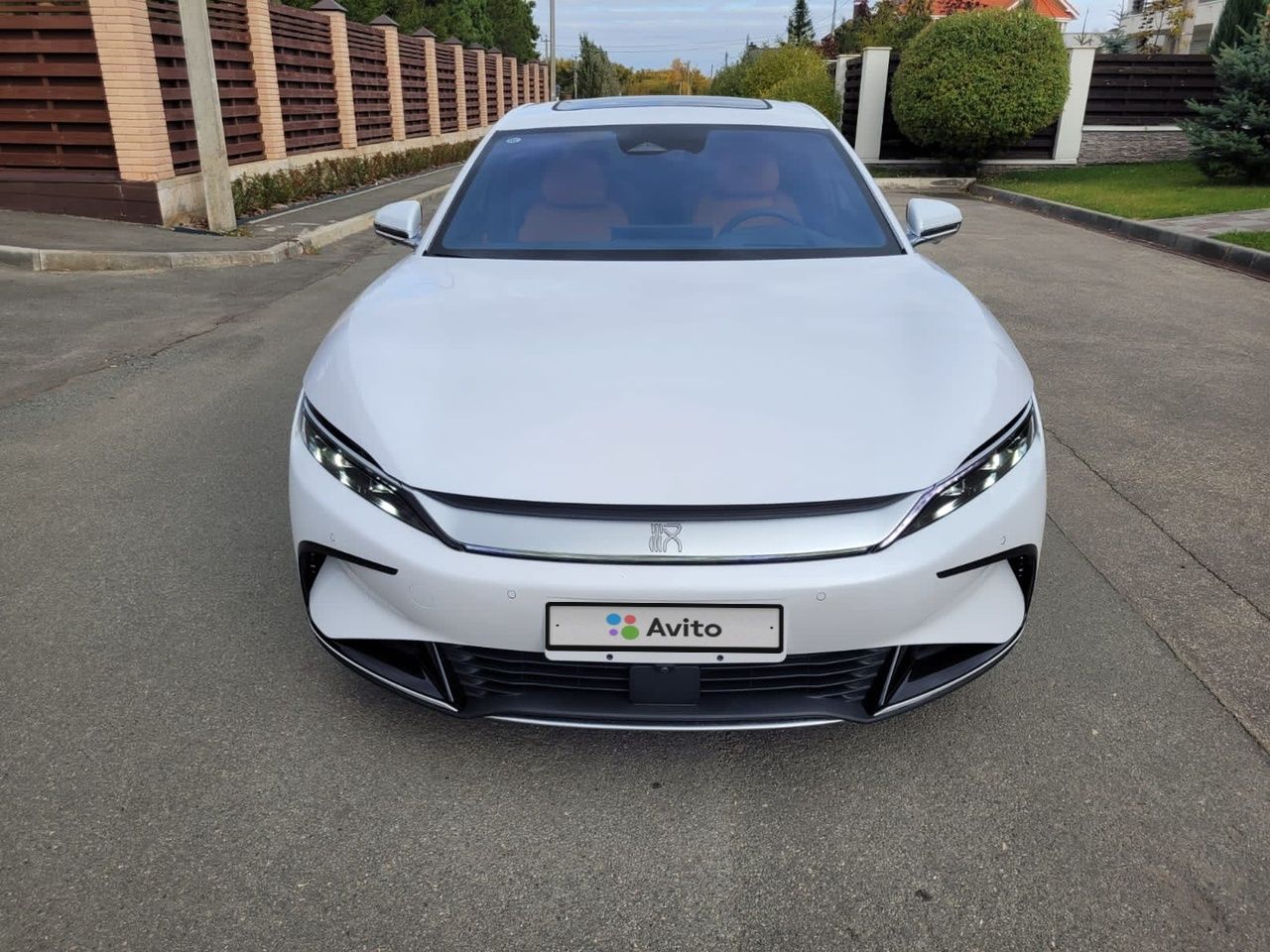 BYD Han EV: фото владельца