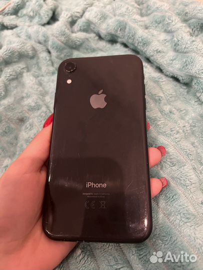 iPhone xr