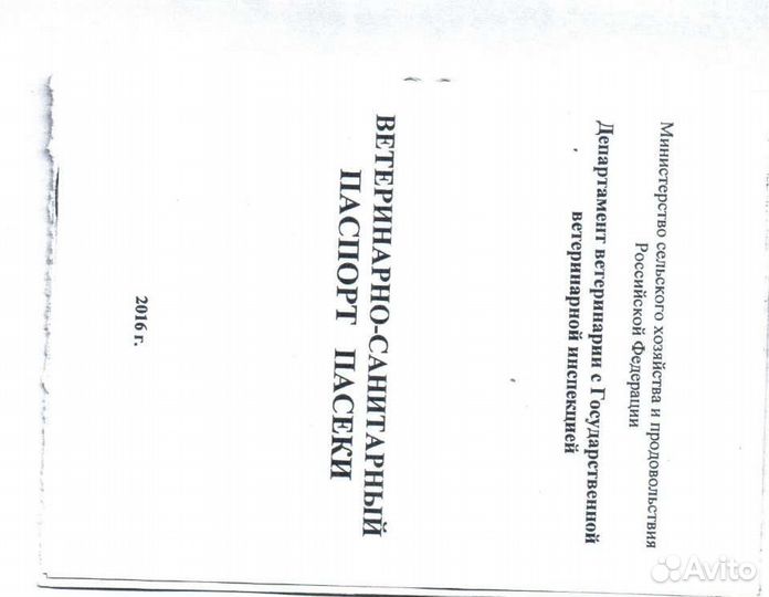 Мед урожай 2023