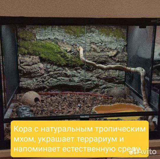 Фон для террариума из пробковой коры 3D объемный