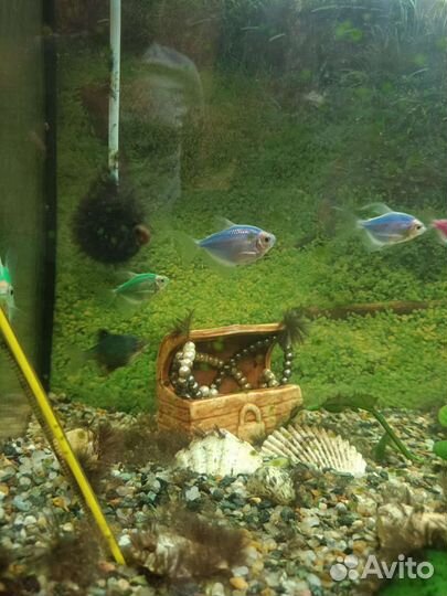 Аквариум с рыбками на тумбочке