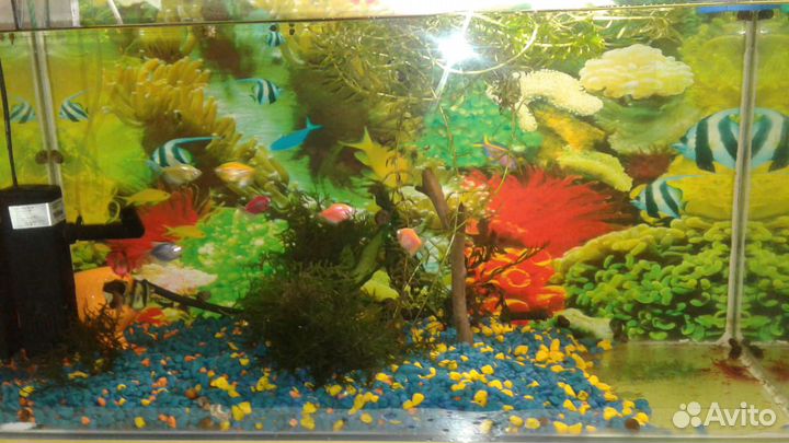 Аквариум