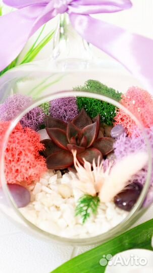 Флорариум в вазе 