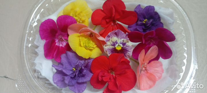 Микрозелень