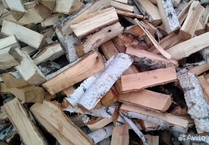 Дрова береза