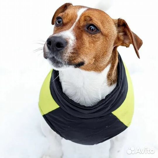 Жилетка для маленьких собак и щенков