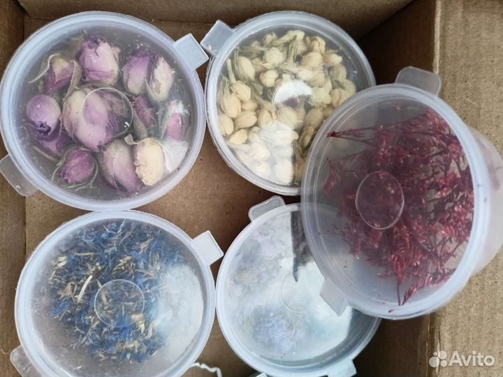 Сухоцветы для творчества