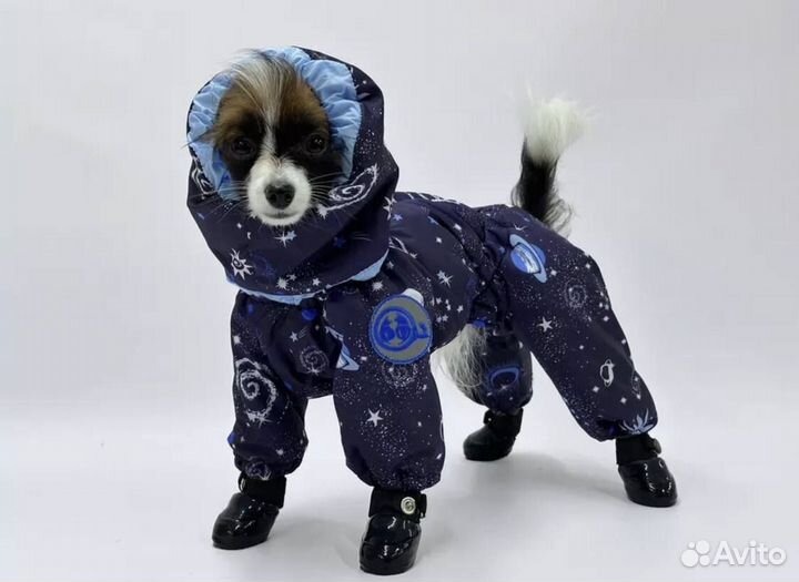 Зимний комбинезон для собак