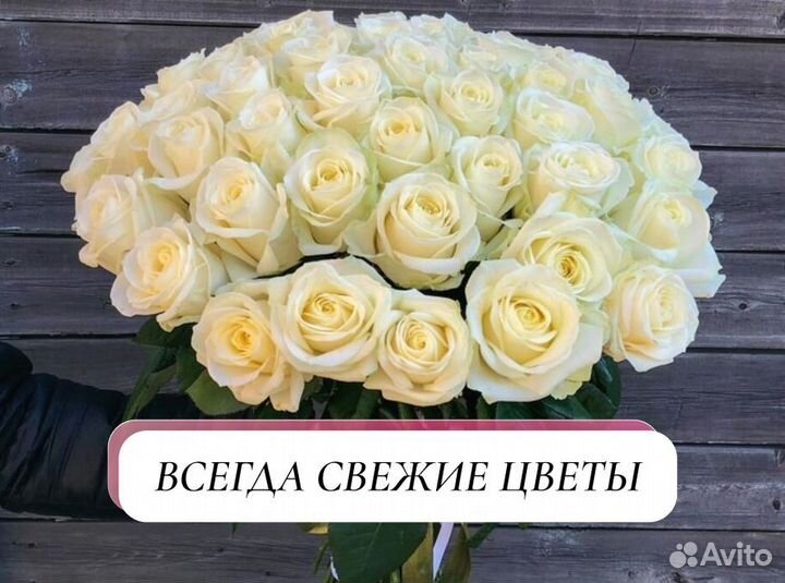 Цветы розы и букеты с доставкой 25 35 51 101