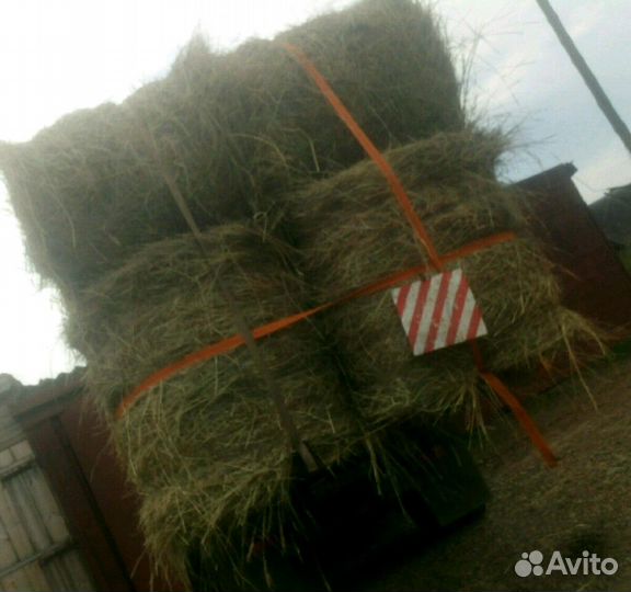 Сено свежее полевое