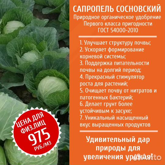 Чернозем сапропель