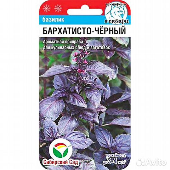 Базилик Бархатисто-черный