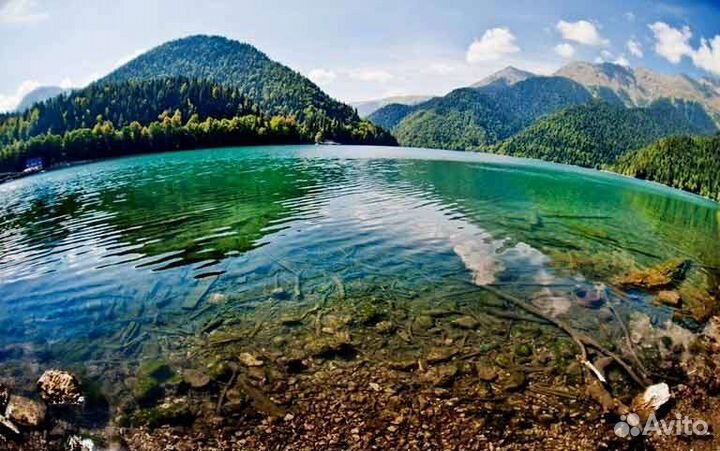 Индивидуальный тур в Абхазию / Озеро Рица