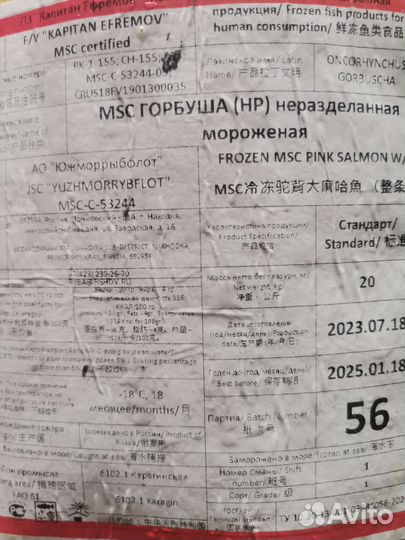 Горбуша вылов 2023