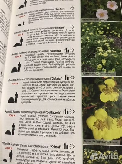 Книга для ландшафтных дизайнеров