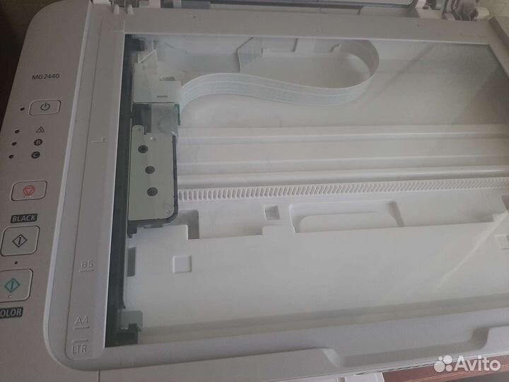 Мфу canon pixma MG2440