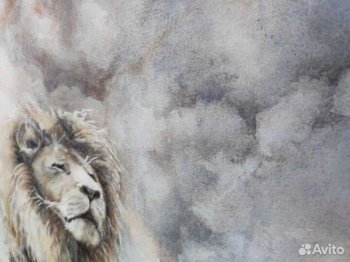Картина лев в лучах солнца
