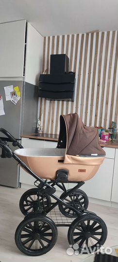 Коляска Rico basic 2 в 1 Shine