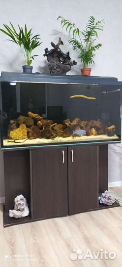 Аквариум с тумбой б/у