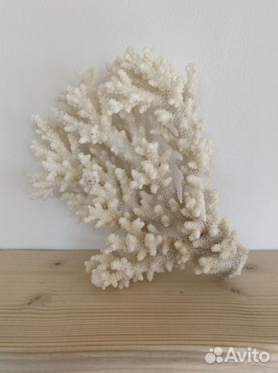 Штурвалы Рынды Якоря Фонари и др