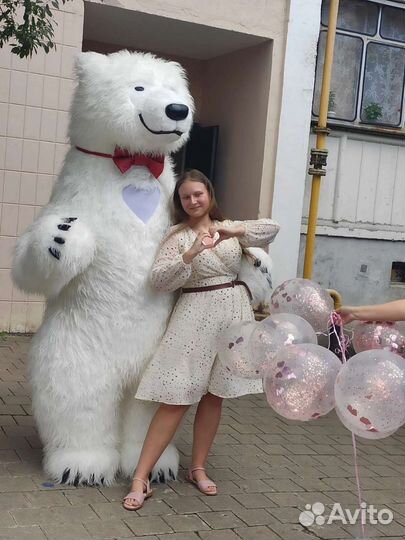 Поздравление. Мишка. Аниматор. Ростовая кукла