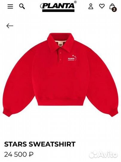 Поло planta rosa