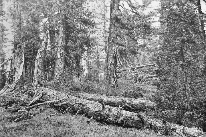 Фото для фотообоев