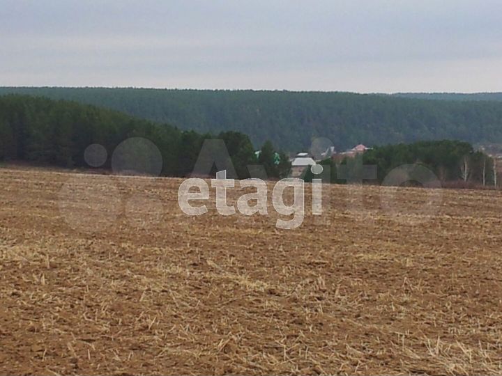 Участок 24 га (СНТ, ДНП)