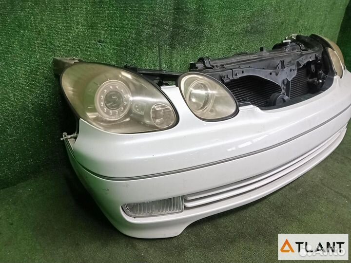 Nose cut toyota aristo