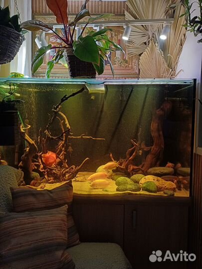 Аквариум 500 литров