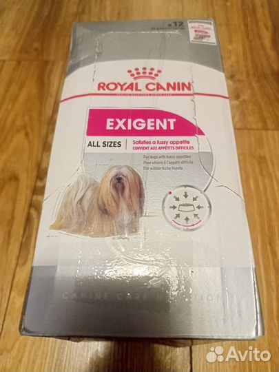 Влажный корм для собак