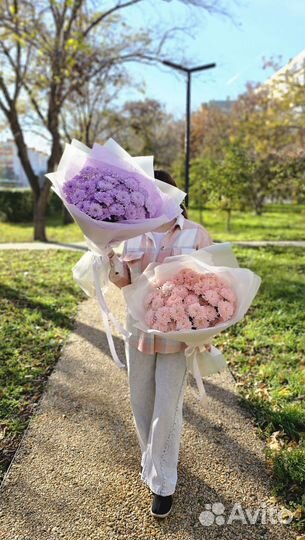 Хризантема букет живые цветы