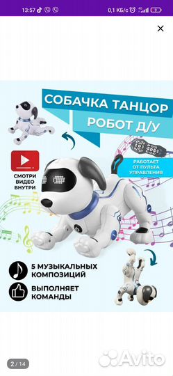 Собака на пульте управления