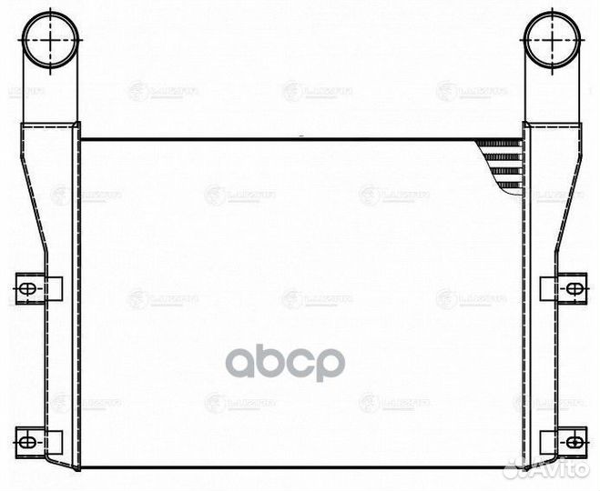 Охладитель паз-32053-04 4234-04 Вектор Next с д