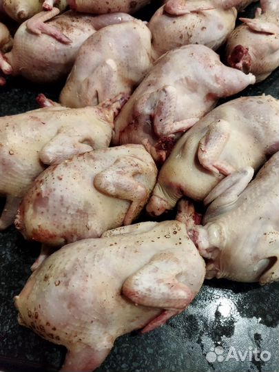 Мясо перепела