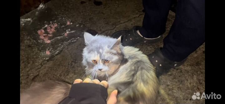 Неравнодушным